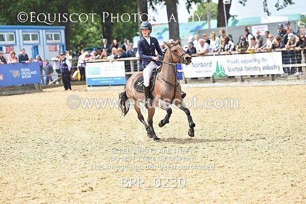BPP_0230 - RHS 2019 Selection - *Just some random spectator shots so Lucky Dip if you are there!