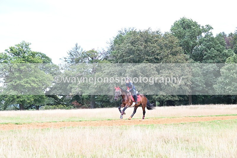 DSC_8907 - Time at Statue 14:33 to 15:10