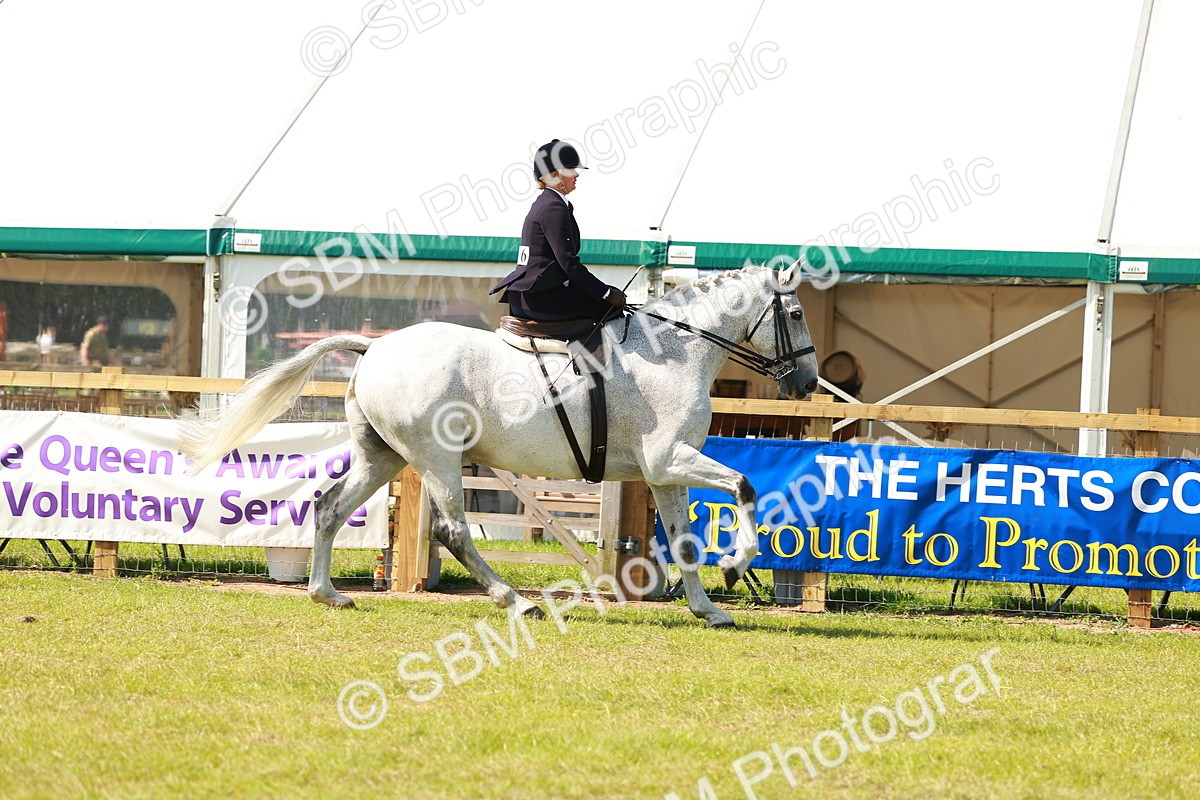 SBM_13203 - Class 70-71 - Side Saddle