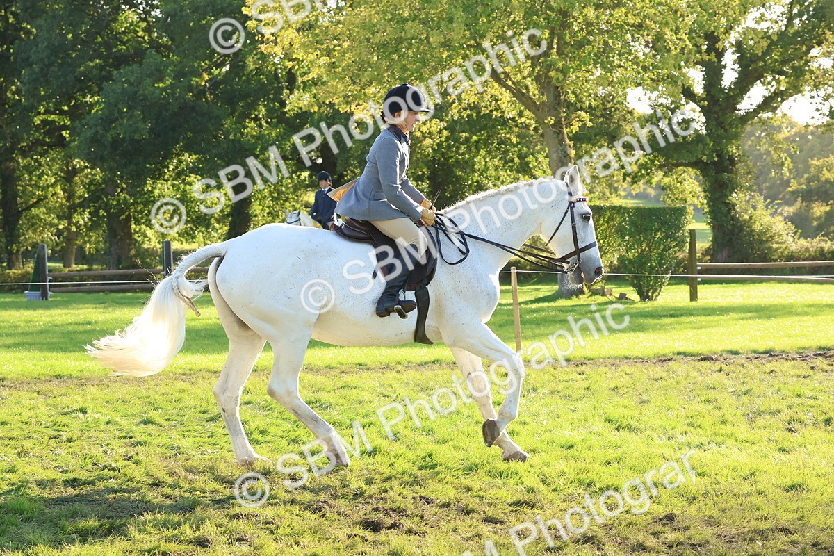 SBM_53000 - S29 - Mature Veteran Ridden