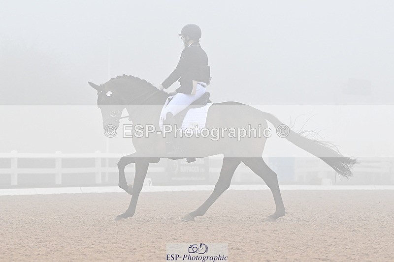 240217A-140902-03359 - 256-Bradley.Moore-Taylor-Ouyuan
