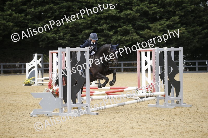 20250622-4682 - 50cm