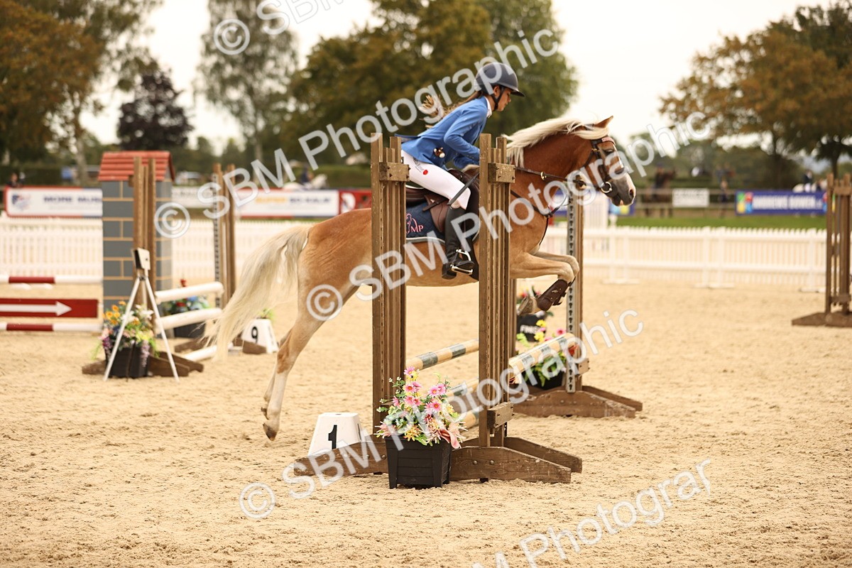 SBM_72602 - J14 - Junior Pony 65cm Championship