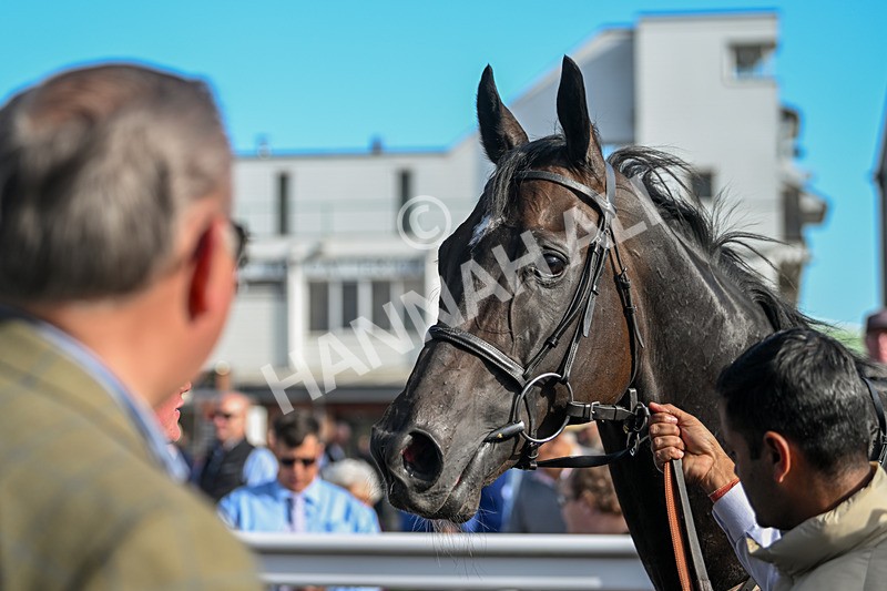 090925-Race 5-Dream Deal-9345 - Race 5