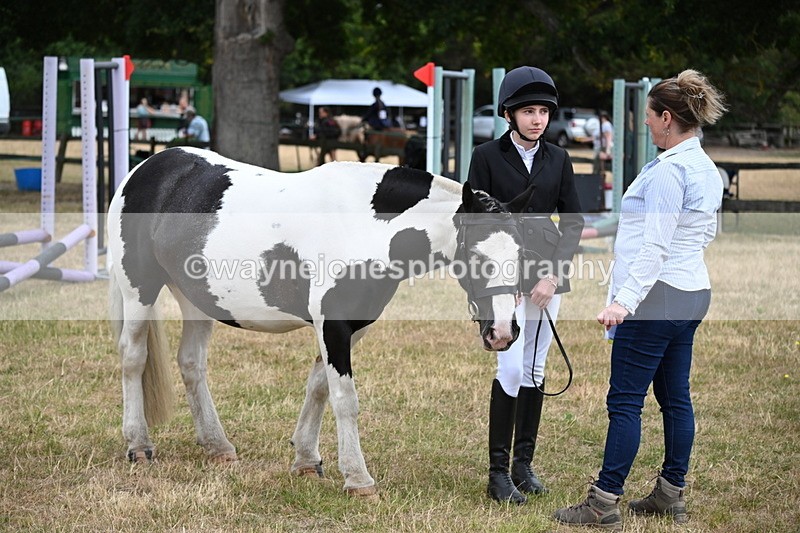WJ6_4202 - Class 10 Coloured In-hand