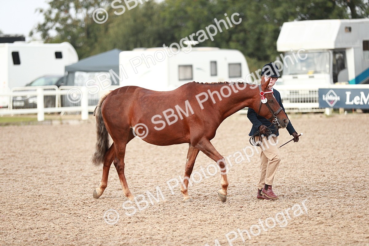 SBM_09495 - Class 201 Best Turned Out IH