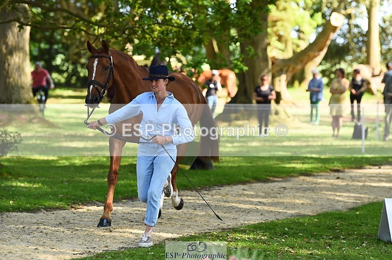 230524-164508-01064 - 113-I'M_A_WONDER-Rosie_Fry-WEDTrotUp+DR