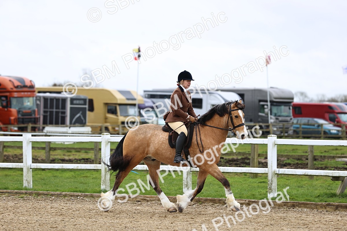 SBM_007013 - Class 29 - 30 - M&M Pure Novice Small-Large Breeds