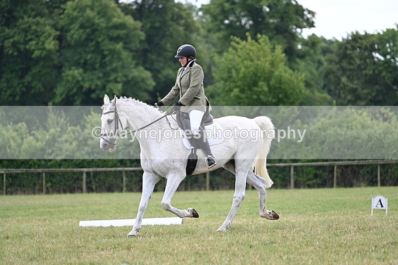 WJ7_5169 - Time 11:22 to 11:51