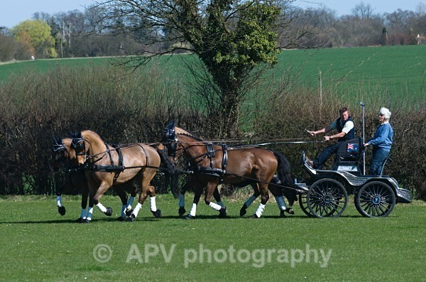_DSC0124 - Ashfields Carriage & Polo Club