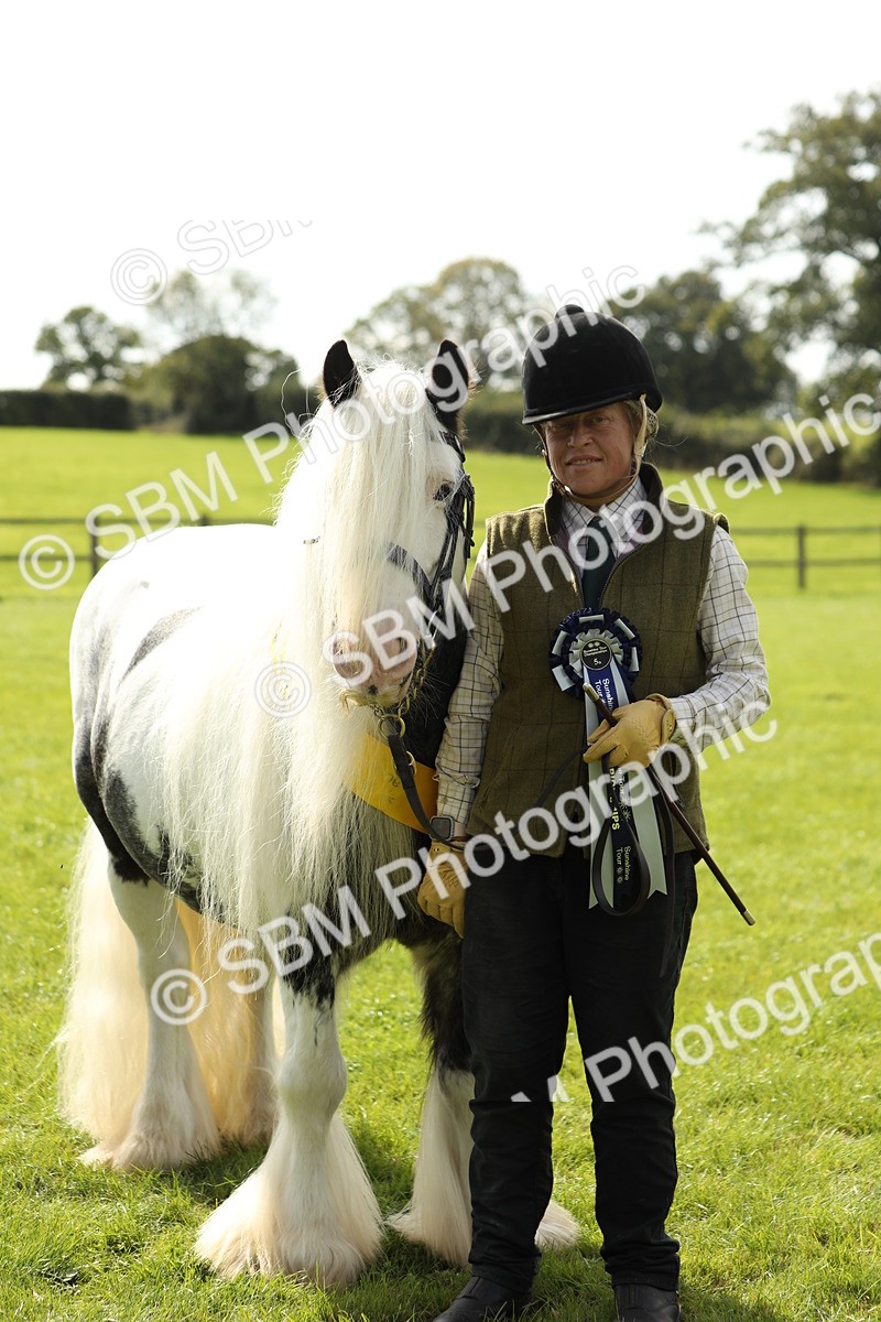 SBM_66365 - In Hand Pony & Youngstock Supreme Championship