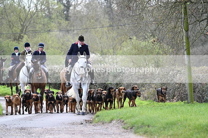 WJ7_9770 - Walk Home