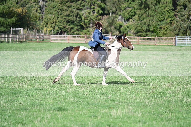 WJ7_7800 - Time 10:30 to 11:38