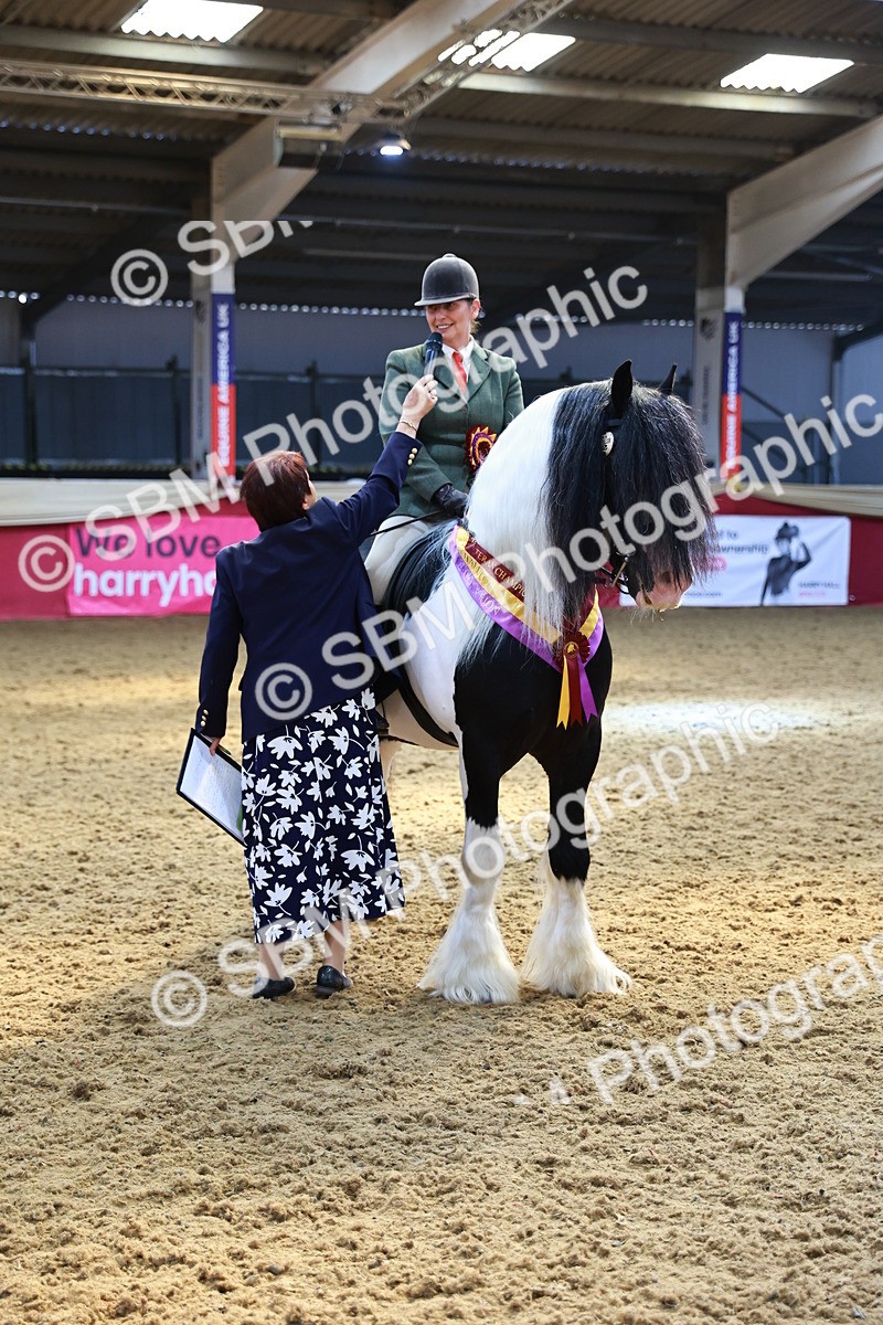 SBM_12784 - HOYS Veteran Qualifier - Ridden Champ