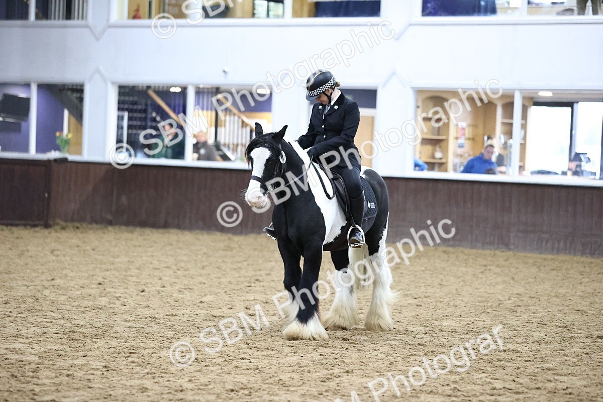 SBM_6382 - Class 45-42 - Ridden Irish Breeds-Ridden Cob