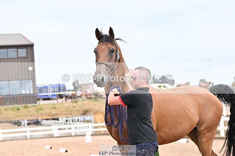 250716-153452-02028 - Trot Up 3.30 to 4.30