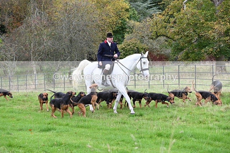 WJ6_0077 - Camera 2 Meet