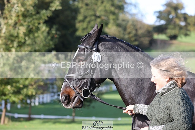 241027-102332-15857 - 514-Georgina.Owen-BARATHEON