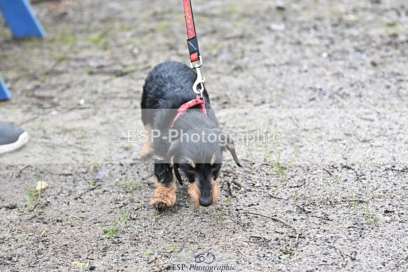 241206-144427-01148 - Naomi