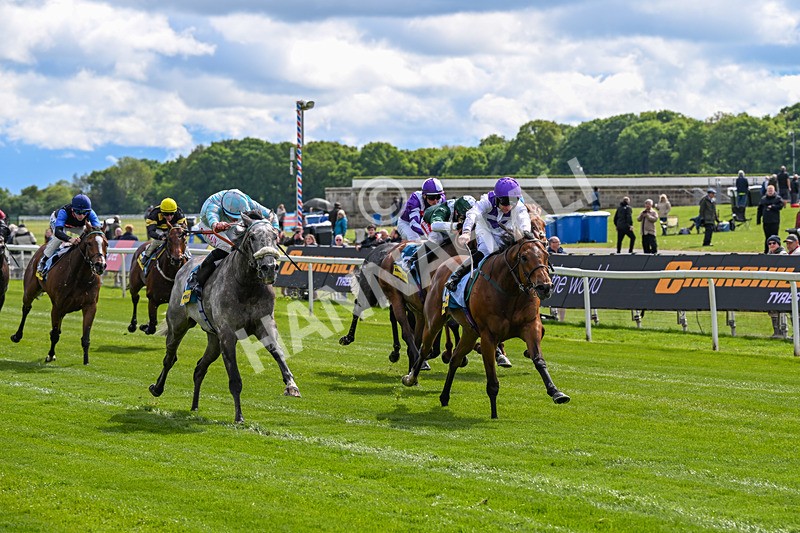 130526-Race 3-Dark Thirty-2785 - Race 3 2.55pm Churchill Tyres Handicap