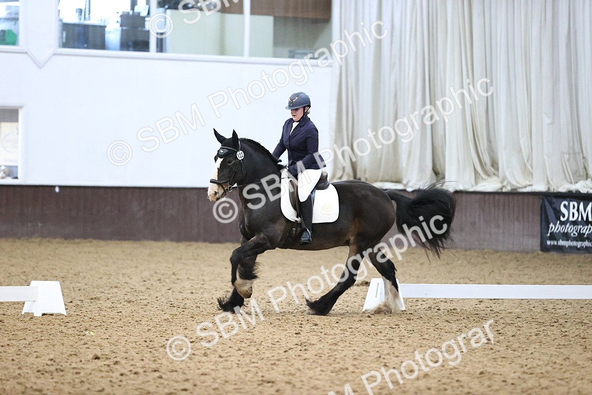 SBM_004294 - Intermediate