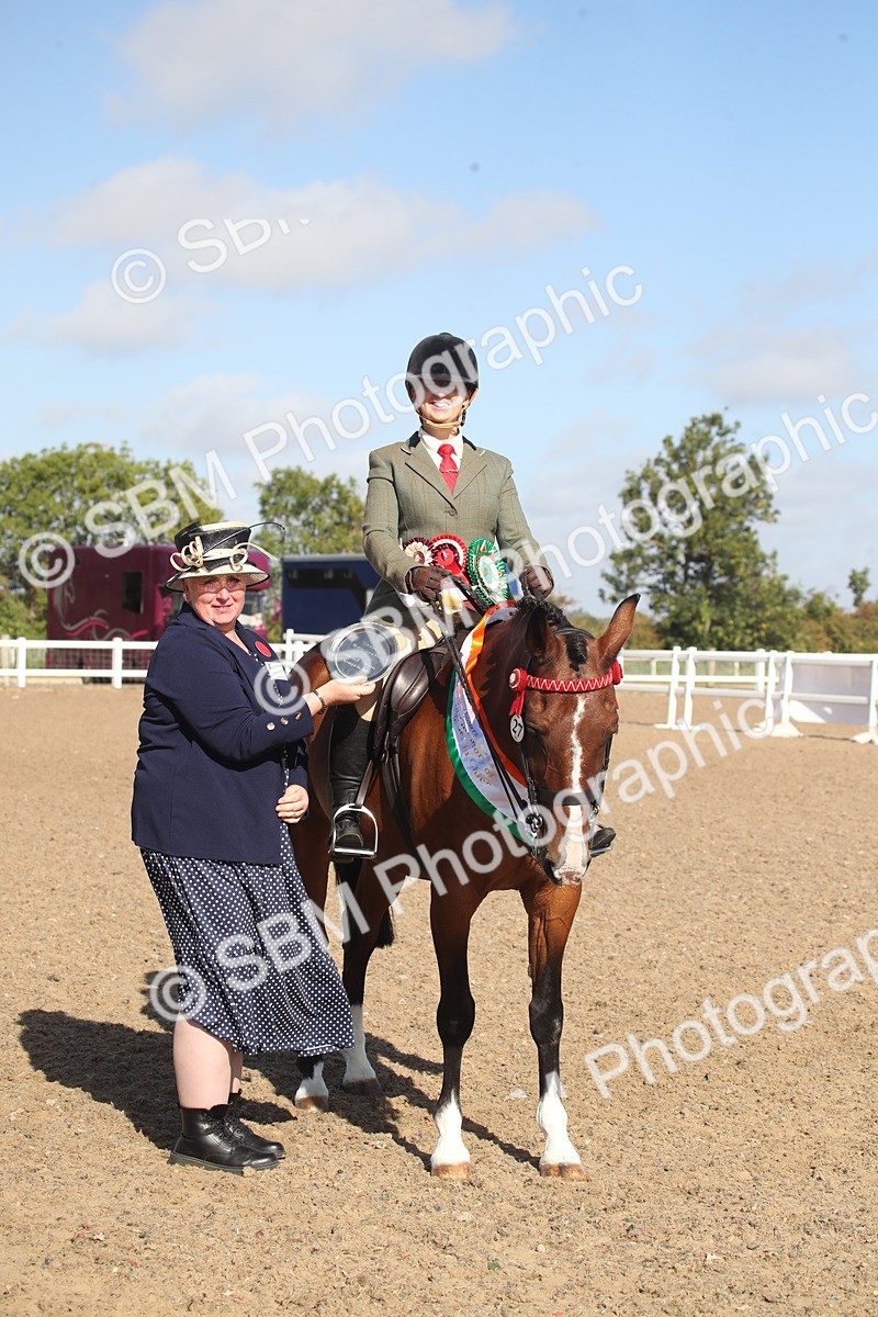 SBM_22734 - Class 601 - 2026 - Area - Ridden Diamond