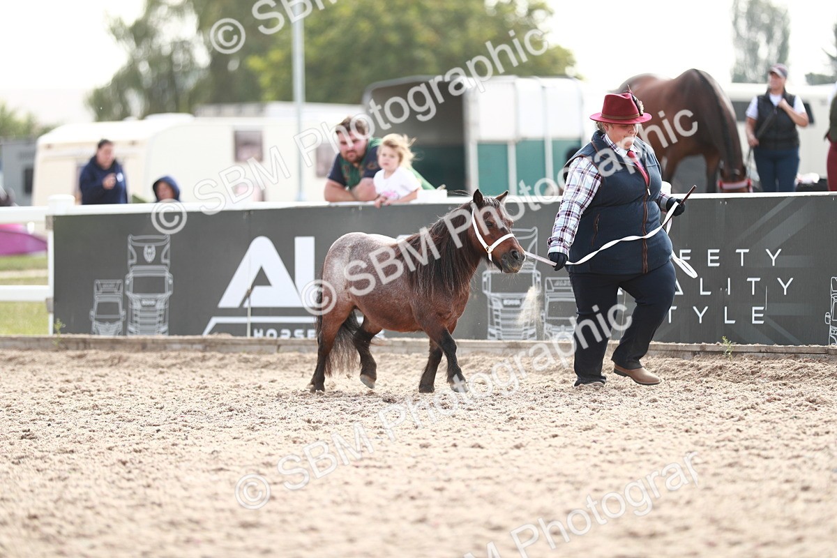 SBM_13886 - Class 209 IH Veteran Pony
