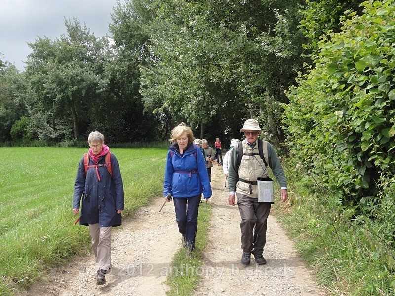 069  Leaving Fox Heads Wood onto High Lane - York Minster Walkers Collection 2024