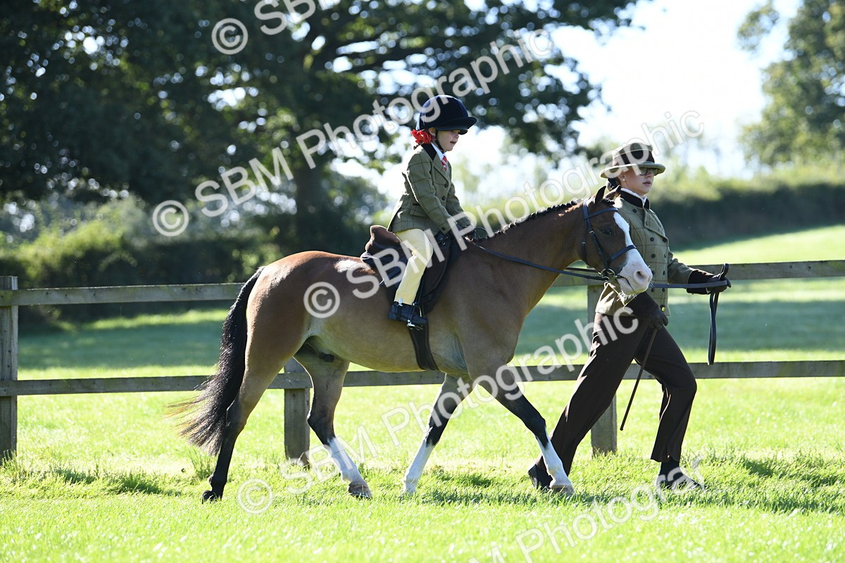 SBM_36750 - S18 - Novice & Newcomers Lead Rein Pony