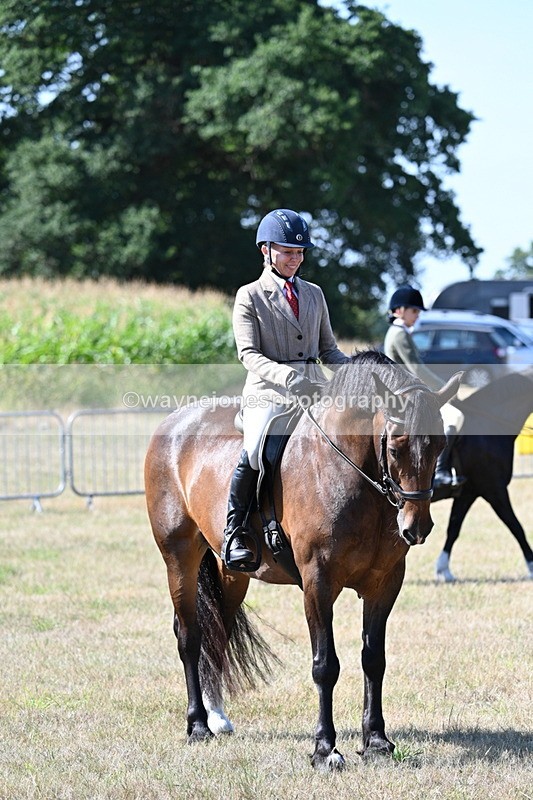 WJ7_3583 - Class 9 Mountain & Moorland Ridden