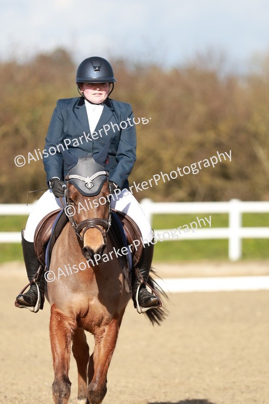 20260314-5335 - DR4 - Prelim 2