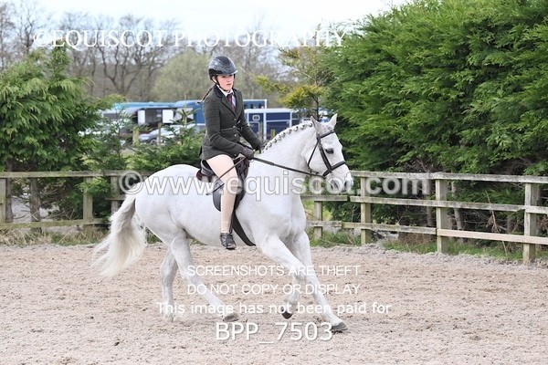 BPP_7503 - RING 1  (RIDDEN HORSES / IN HAND / VETERAN ETC)