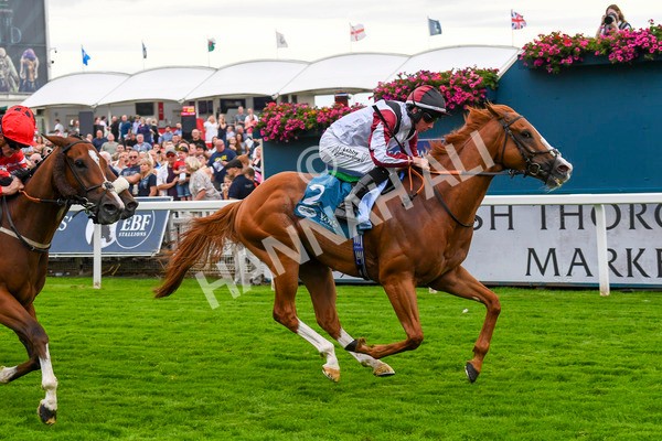 280723-Race 4-Cairn Gorm-0439 - Race 4 6.40pm Tomahawk Restaurants Handicap