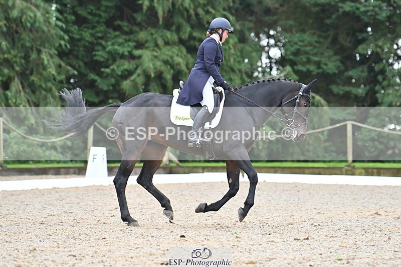 231019-130633-03282 - 121-KNOCKADERRY.MISTY.BAT-Harriet.Dickin-DR