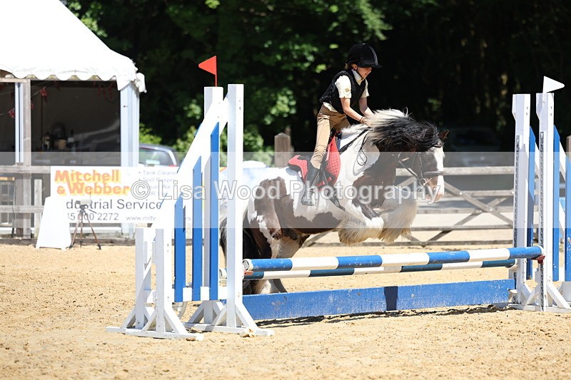 3E7A2576 - Class 4/5: 60cm Open Teams and Individuals