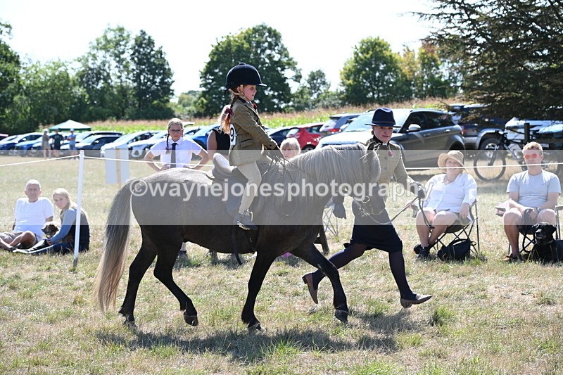 WJ6_7802 - Class 36 Lead Rein