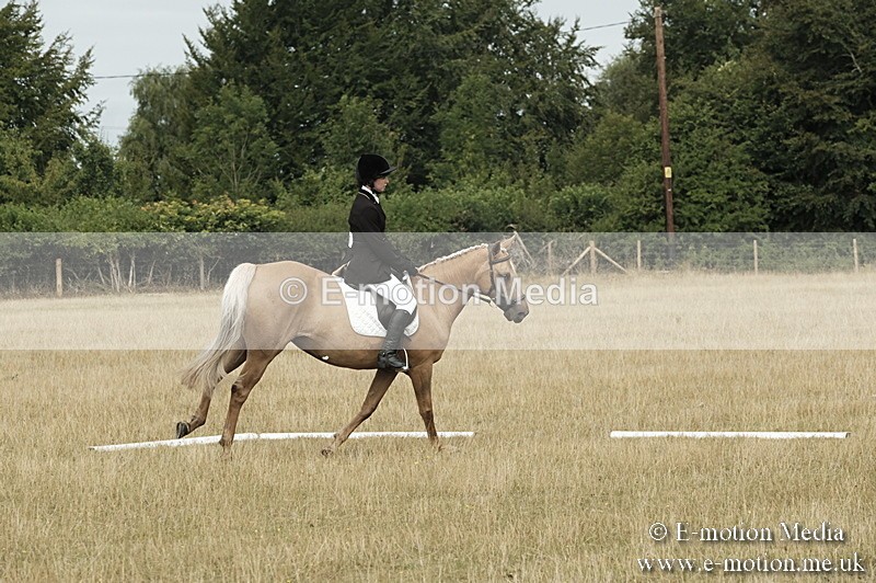 _PJP5733 - Dressage Classes BVRC Show 2018