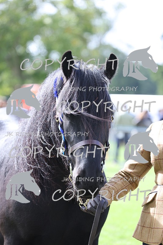 APP_2988 - Class 10a/b M&M in hand