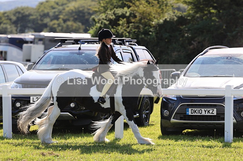 IMG_1541 - Class 30: Ridden Native/Trad Coloured Pony