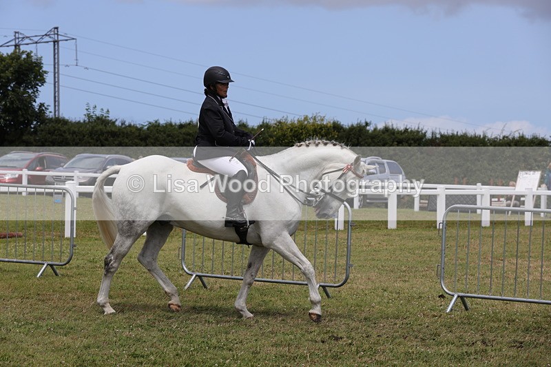 1X9A4403 - Class 34: Veteran Ridden