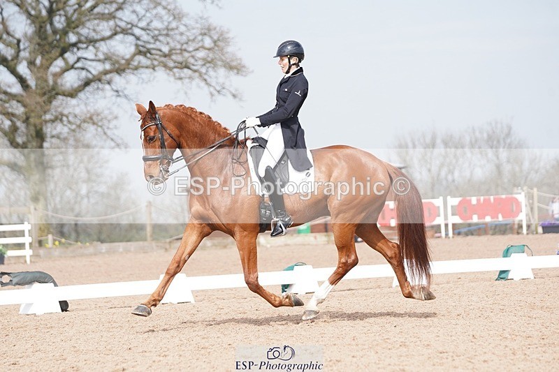 250404-112444-05437 - 009-Sarah.Stewart-Djoe.Dimaggio