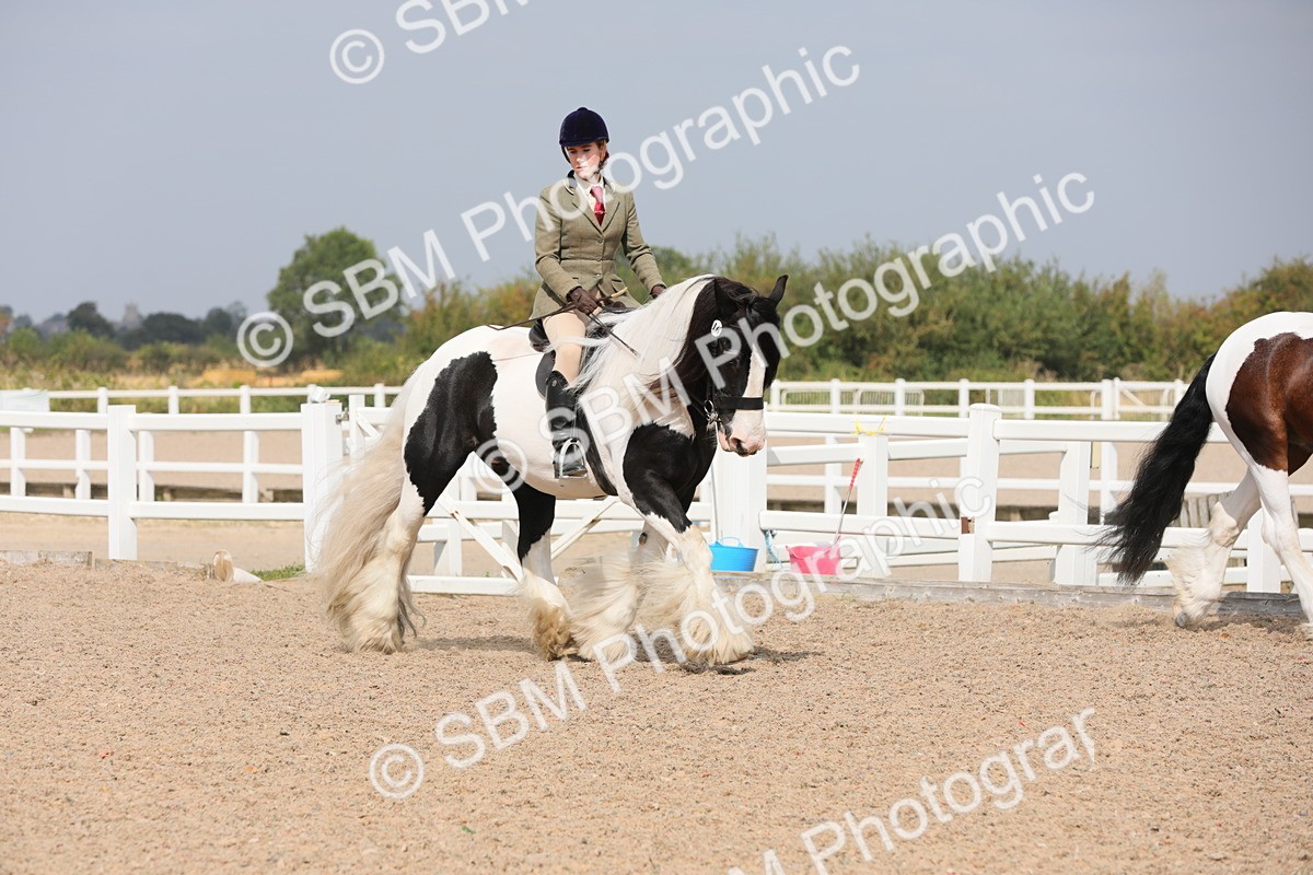 SBM_13342 - Class 308 Ridden Coloured Horse