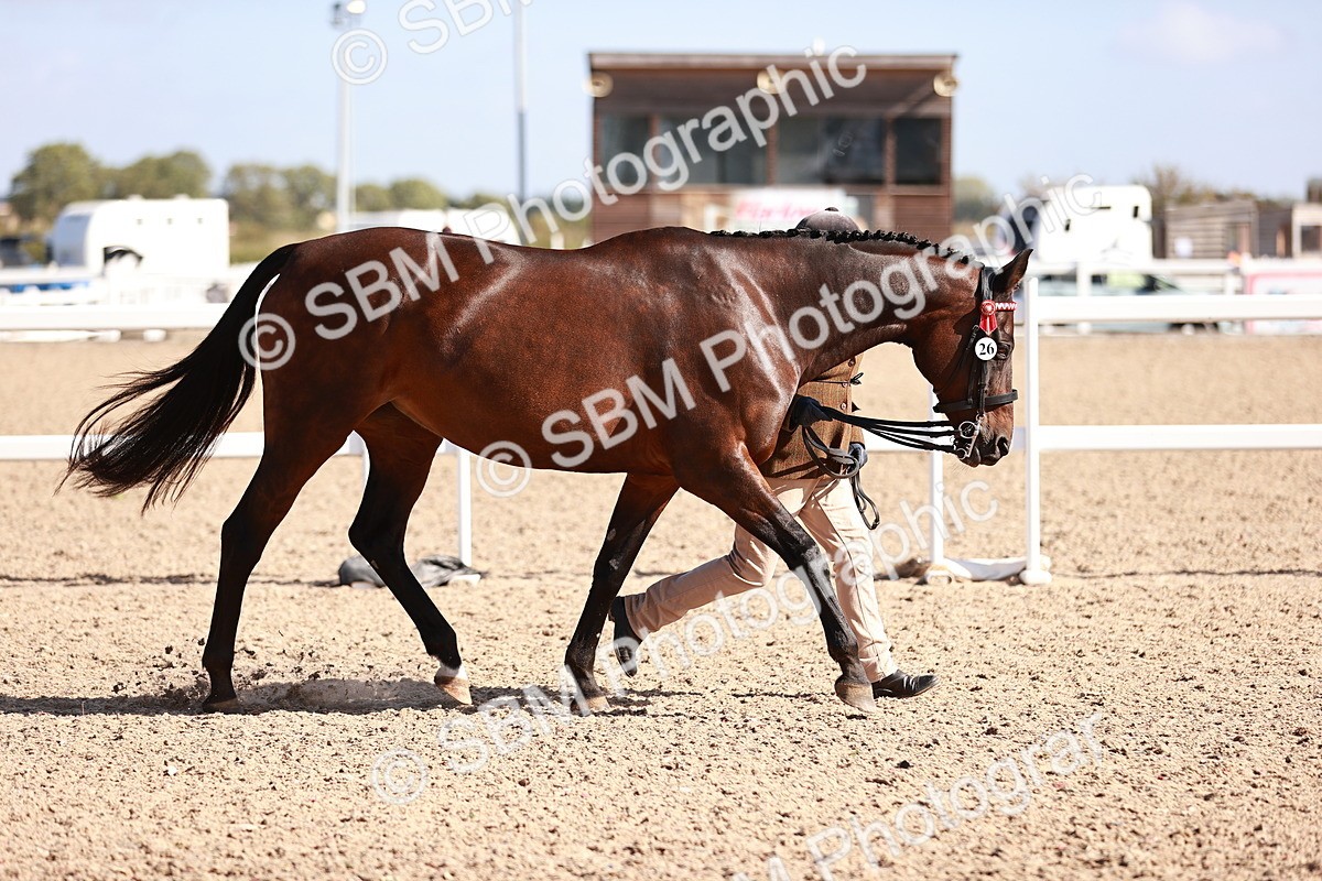 SBM_22774 - Class 705 - IH Combination 65+
