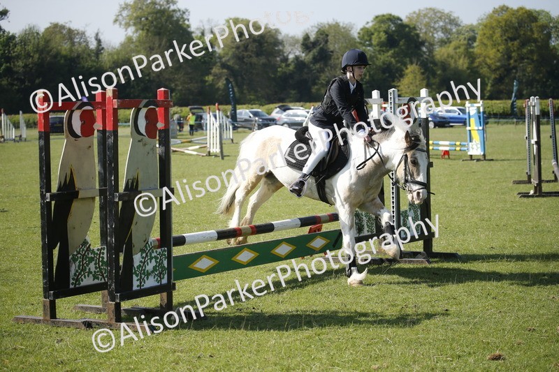 20250427-0384 - Class 12 - Rookie Jumping 40cm