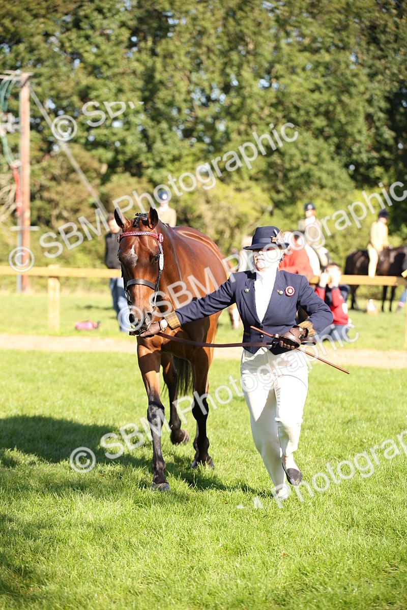 SBM_36585 - S10 - Best In Hand Horse & Pony