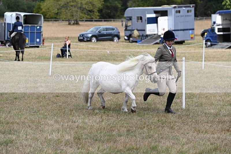 WJ6_5945 - Class 19 In-hand Veterans (Uploaded correct folder)