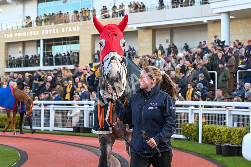 250125-Race 1-Resplendent Grey-3844 - Race 1