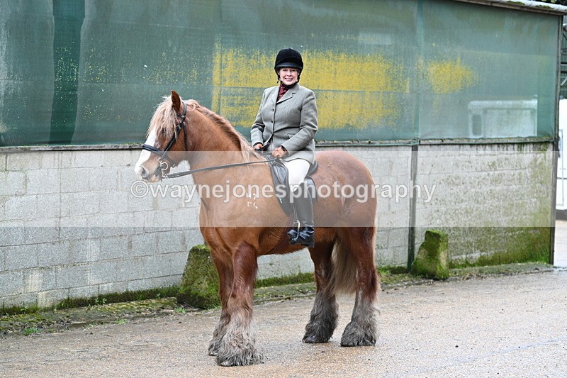 WJ7_8721 - Berks & Bucks - Rowles Farm 15-02-26