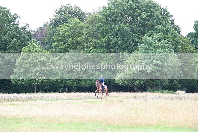 DSC_3803 - Time at Statue 13:51 to 14:55