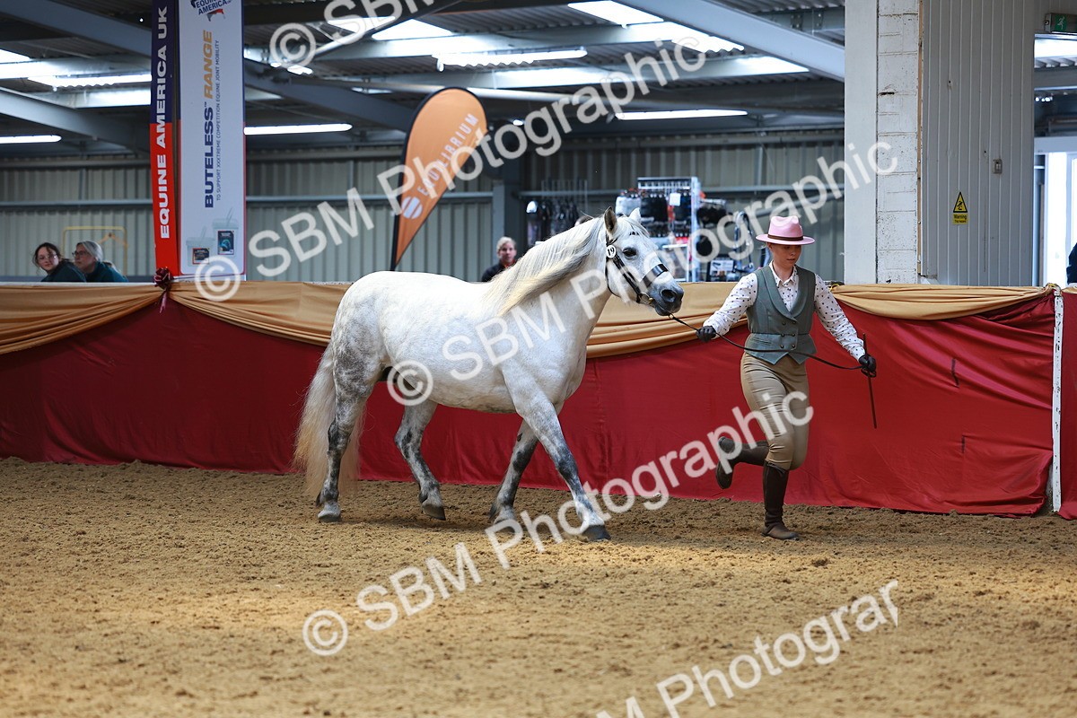 SBM_04101 - Class 9R - IH Pre-Vet